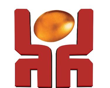 河南鼎越企業(yè)管理咨詢 專(zhuān)業(yè)商務(wù)咨詢，助力企業(yè)卓越發(fā)展